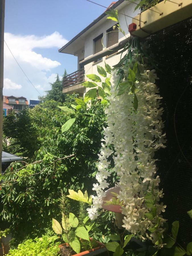 Ani Apartment Ohrid Exterior foto